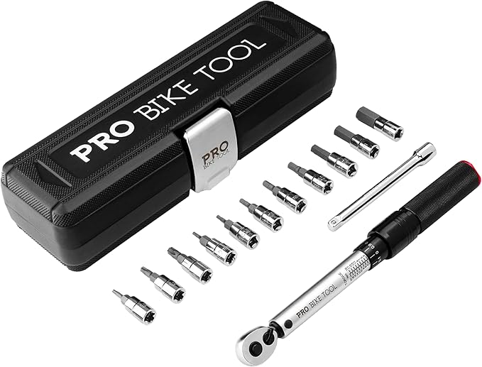PRO BIKE TOOL Bike Torque Wrench Set - 1/4 Inch Drive, 2.2-16.9 Nm | 20-150 in-lb, Allen & Torx Bits, Extension Bar, Protective Storage Case