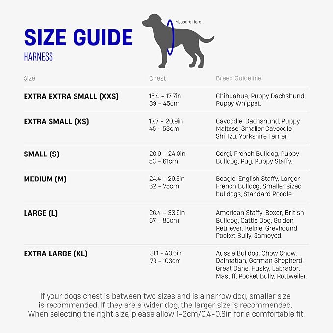 Dog Friendly Co. Dog Harness for Small Dogs, Adjustable (Purple, Extra Small)