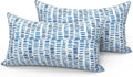 LVTXIII Set of 2 Outdoor Lumbar Pillows for Patio Furniture with White Piping, 12"x20" Fade Resistant Patio Lumbar Pillows with Inserts for Home Coach Sofa Use, A Pebble Blue
