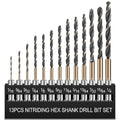 13pcs Hex Shank Drill Bit Set, Professional HSS Nitriding Twist Drill Bits, Upgrade Black and Gold Coated Drill Bit, Quick Change Design for Wood, Steel, Metal, and Plastic, 1/16IN to 1/4IN.