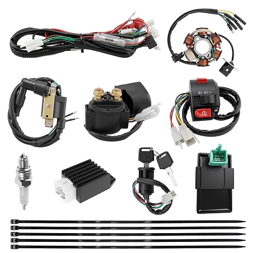PRO BAT Full Electrics Wiring Harness Kit | for 50cc 70cc 90cc 110cc 125cc Chinese ATV Quad Bike 4 Wheeler Coolster Baja SunL Taotao JCL with CDI Coil Magneto Stator