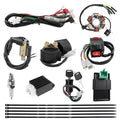 PRO BAT Full Electrics Wiring Harness Kit | for 50cc 70cc 90cc 110cc 125cc Chinese ATV Quad Bike 4 Wheeler Coolster Baja SunL Taotao JCL with CDI Coil Magneto Stator