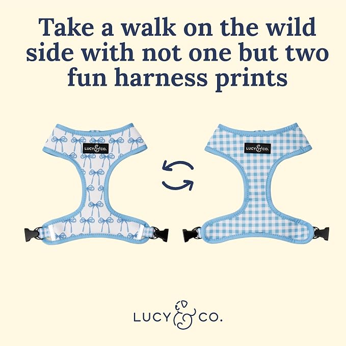 Lucy & Co. Cute Reversible Dog Harness Walking Halter - Best Designer Pet Harnesses for XS - XL Dogs - Padded Adjustable Vest for Easy Walking (Large, Purple Green Floral Checker)