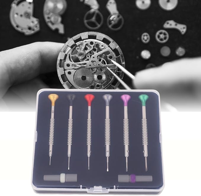 Precision Jewelers Screwdriver Set, 6Pcs Micro Watch Screwdriver Set for Watch, Jewelry, Eyeglass, Electronics Repair