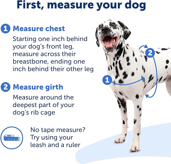 PetSafe Easy Walk Harness, No Pull Dog Harness, Royal Blue, Large | Patented Martingale Loop Gives Gradual Shoulder Pressure to Stop Pulling, Front-Chest Leash Clip Prevents Gagging
