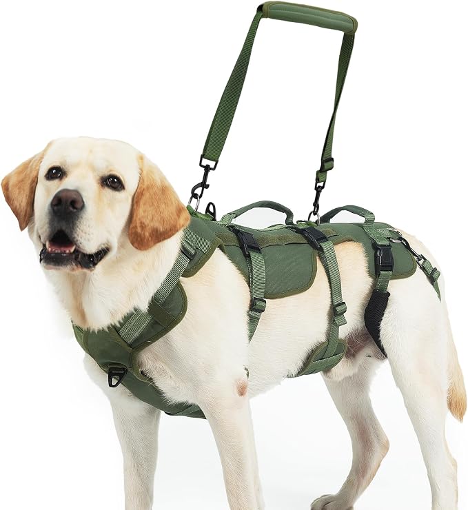 PUPTECK Dog Lift Harness for Medium Large Sized Dog, Rehabilitation Sling for Hind Leg Support, Multifunctional Mobility Assistance Harness for Old, Disabled, Joint Injuries, Paralysis Dogs, Green L