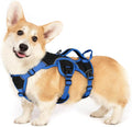 rabbitgoo Escape Proof Dog Harness for Small, No Pull with Lift Handle | No Escape, Full Soft Padded, Reflective Adjustable Vest, Leash Clip for Walking Hiking Training, Blue & Black, Small