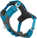 Kurgo Journey Air Dog Harness, Blue, Large | Padded Chest, Ripstop Outer & Breathable Mesh, Back Assist Handle, Rust-Free Aluminum Hardware, Reflective Trim