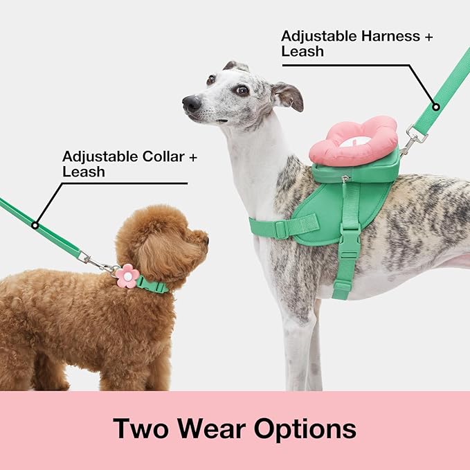 VETRESKA Flora Dog Harness, Leash and Collar Set, No Pull Vest Harness, S | for Walking and Training, Adjustable, Easy Control and Soft Padded Pet Harness and Backpack for Small Medium Large Dogs