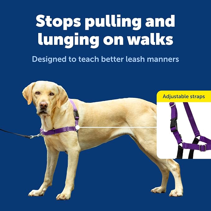 PetSafe Easy Walk Harness, No Pull Dog Harness, Deep Purple, Large | Patented Martingale Loop Gives Gradual Shoulder Pressure to Stop Pulling, Front-Chest Leash Clip Prevents Gagging