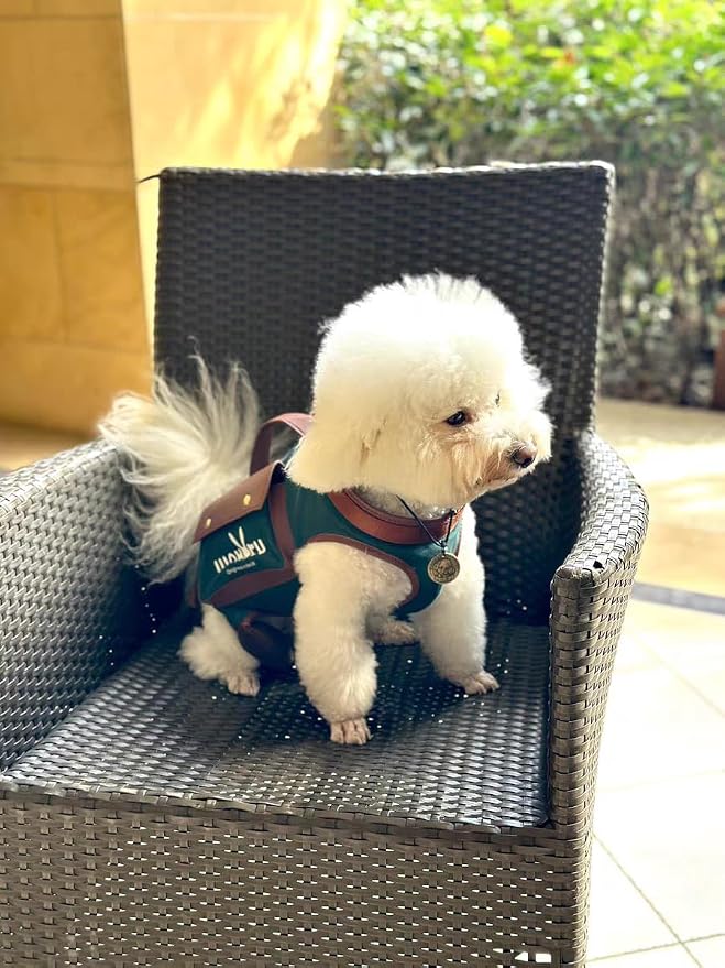 Wakytu Dog Lift Harness Dog Carrier Sling for Small Dogs & Cats,M | stylish puppy sling carrier with handle & pocket,adjustable leash,walking & travel