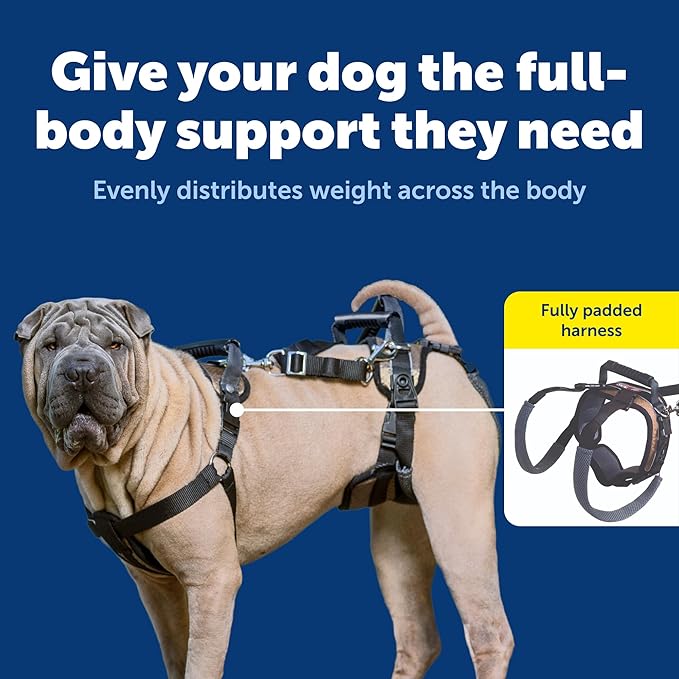 PetSafe CareLift Dog Lift Harness, Full Body, Medium | Lift Sling for Dogs, Full-Body Support for Elderly, Arthritic or Recovering Dogs, Padded Shoulder Strap, Machine Washable