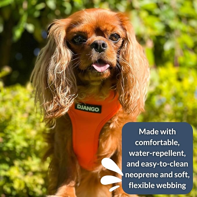 Adventure Dog Harness - Stylish, & Durable Small Dog Harness for Outdoor Adventures and Everyday Wear - Sunset Orange Neoprene Adjustable Harness for Dogs with Reflective Piping & Brass D-Ring