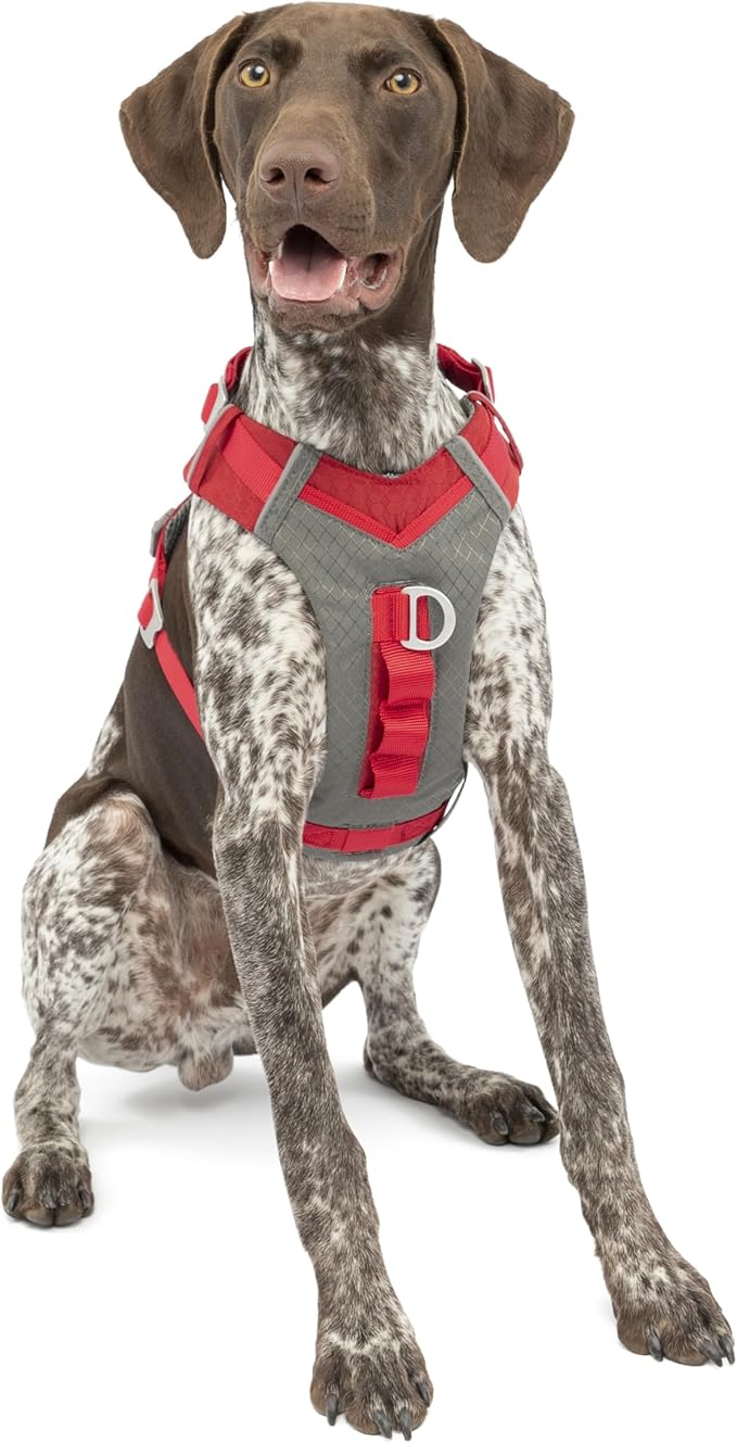 Kurgo Journey Air Dog Harness, Red, Medium | Padded Chest, Ripstop Outer & Breathable Mesh, Back Assist Handle, Rust-Free Aluminum Hardware, Reflective Trim