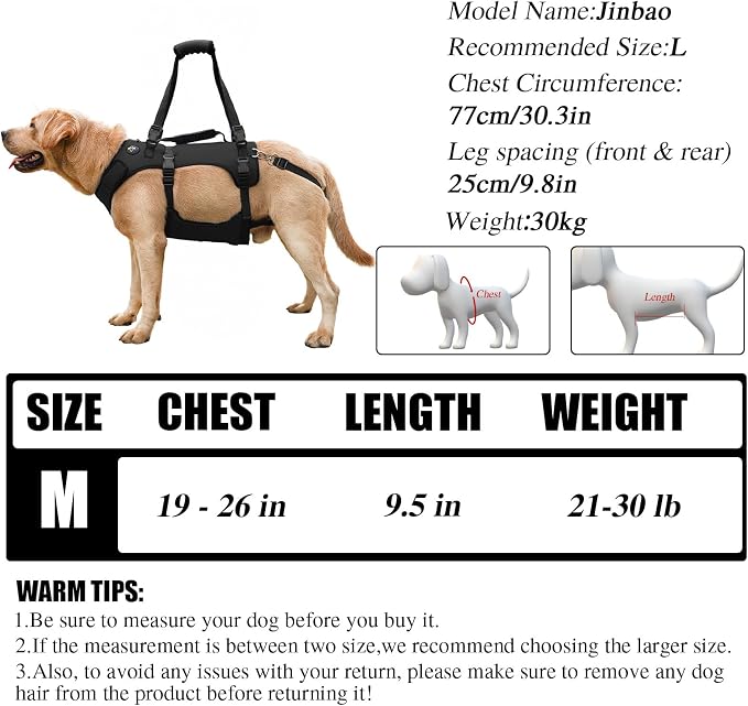 COODEO Dog Lift Harness for Large Dogs, Full Body Support Mobility Aid for Senior Dogs, Adjustable Help for Weak Hind Legs, Arthritis, Stairs & Cars(Black,M)