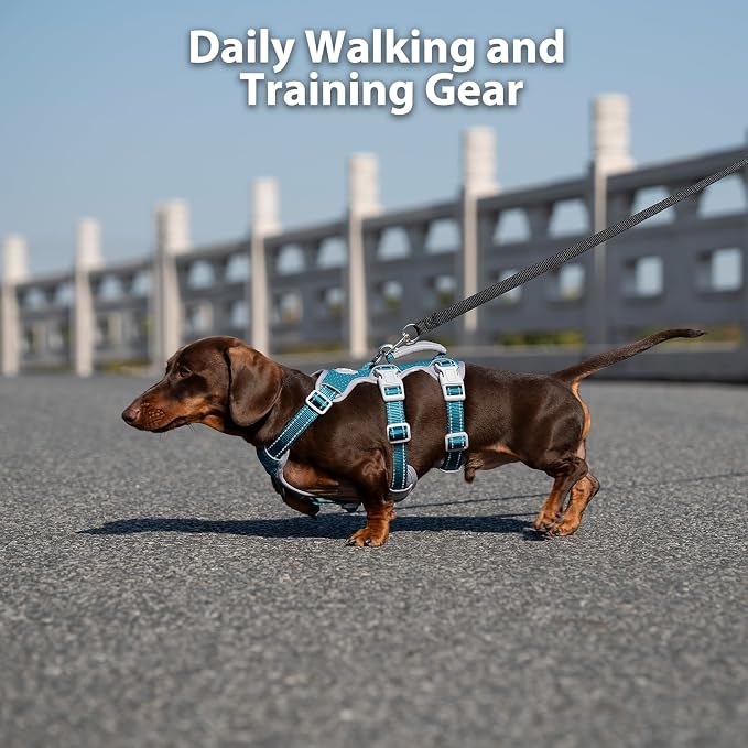 Escape Proof Dog Harness, Escape Artist Harness, Fully Reflective Harness with Padded Handle, Breathable, Durable, Adjustable Vest for Small Dogs Walking, Training, and Running Gear (Teal,S)