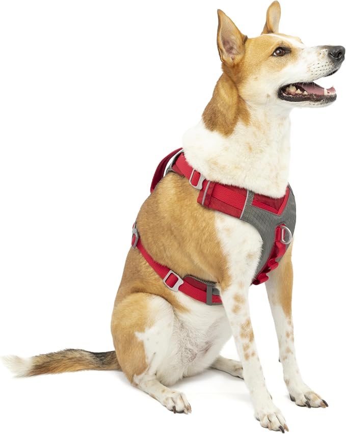 Kurgo Journey Air Dog Harness, Red, Large | Padded Chest, Ripstop Outer & Breathable Mesh, Back Assist Handle, Rust-Free Aluminum Hardware, Reflective Trim