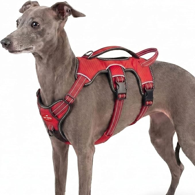 Tuff Pupper Escape Proof No Escape Dog Harness | 5 Point Adjustable Fit Harness for Dogs | Padded Dog Harnesses | Handle Dog Lift Harnesses