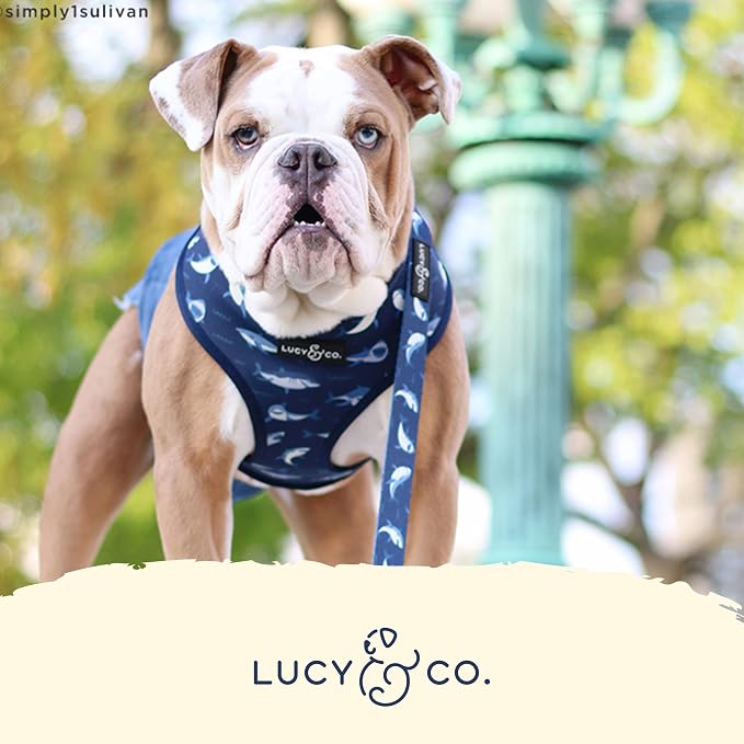 Lucy & Co. Reversible Dog Harness - Water-Repellent Neoprene, Dual-Print Design, Easy Swap Style, Adjustable Comfort Fit - Shark Attack Reversible Harness - X-Small