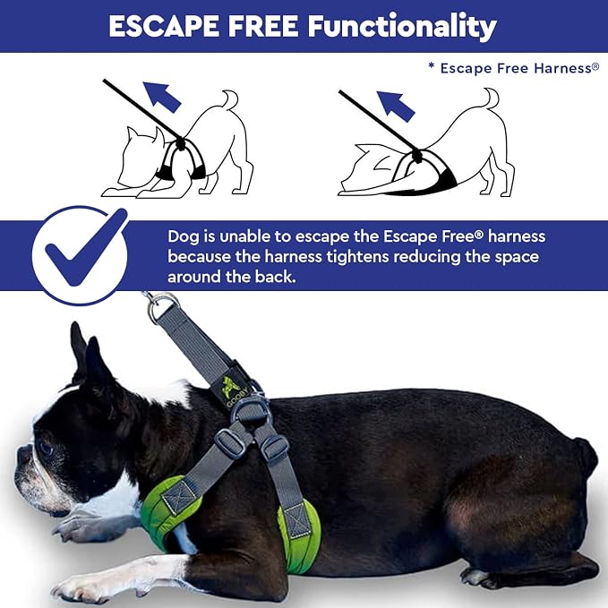 Gooby Escape Free Sport Dog Harness, Choke-Free, Blue, Medium | Patented escape-free frame; Reduces choking; 4-point adjustment; Soft neoprene padding; Durable webbed straps