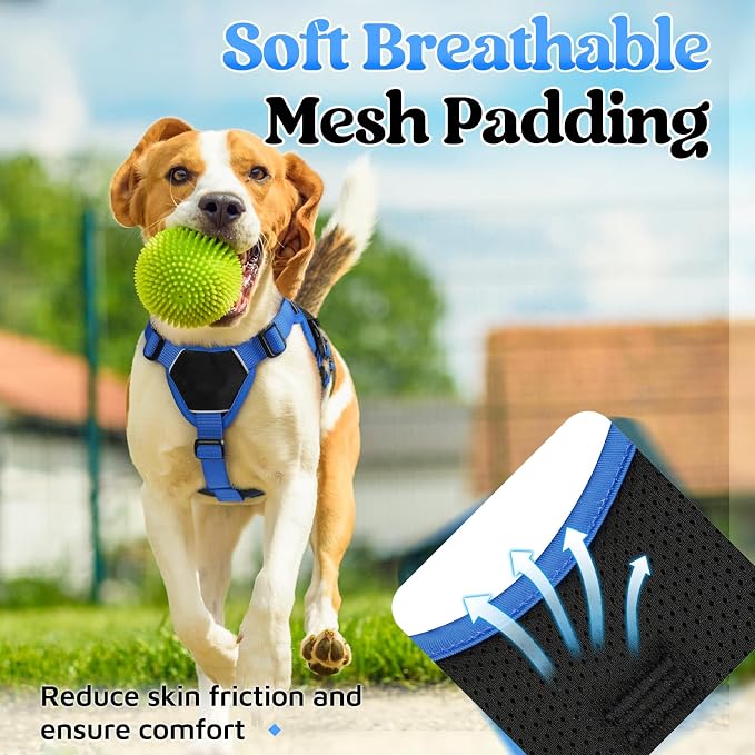 rabbitgoo Escape Proof Dog Harness for Small, No Pull with Lift Handle | No Escape, Full Soft Padded, Reflective Adjustable Vest, Leash Clip for Walking Hiking Training, Blue & Black, Small