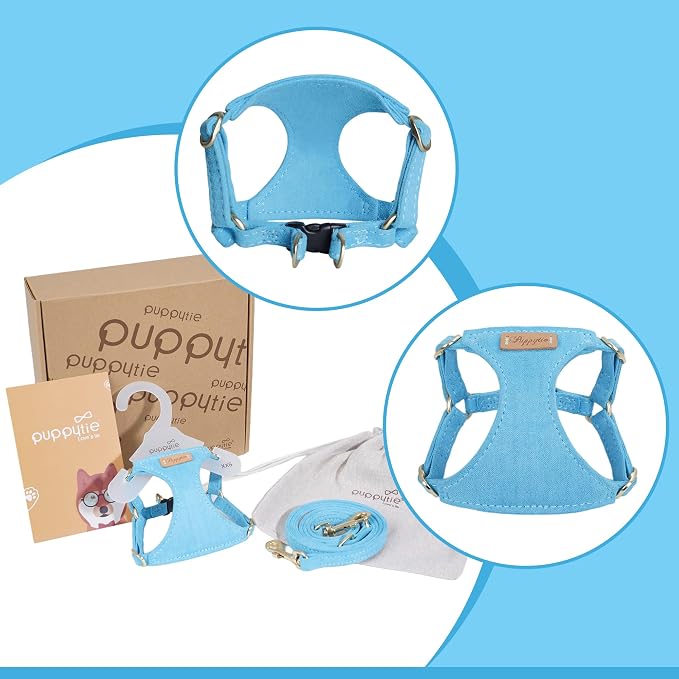 Puppytie XS Dog Harness and Leash Set, Ocean Blue, XS (4.5-11 lbs) | Extra Small Dog Harness, Puppy Harness and Leash, Soft Lightweight and Adjustable, Xsmall Dog Harness for Daily Walks