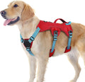 rabbitgoo Escape Proof Dog Harness for Large, No Pull with Lift Handle | No Escape, Full Soft Padded, Reflective Adjustable Vest, Leash Clip for Walking Hiking Training, Sky Blue & Red, Large