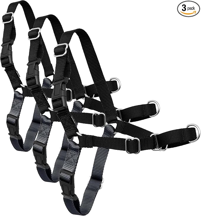 PetSafe Easy Walk Harness for Dogs - Pull-Free Walks - Patented Martingale Loop Design - Front Chest Leash Attachment - Comfort Straps - Breathable Harness Design - Medium, Charcoal/Black (Pack of 3)