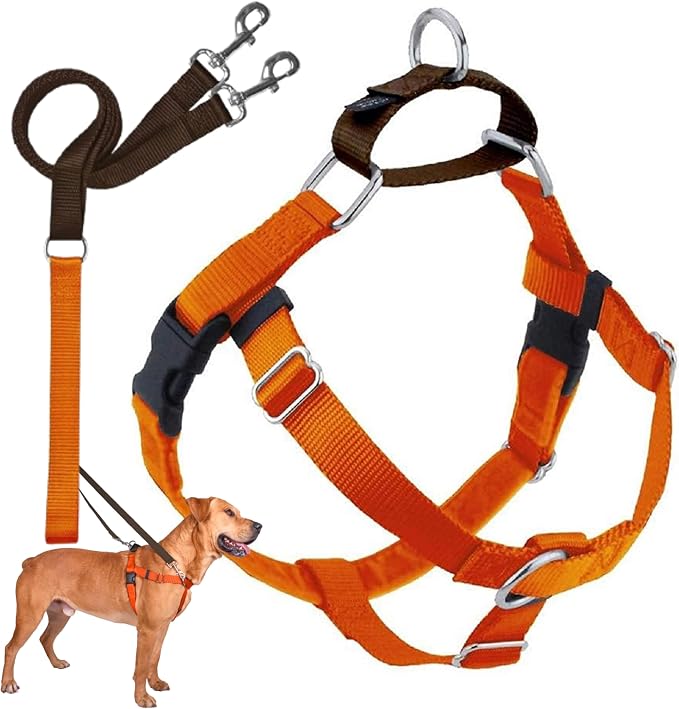2 Hounds Design Freedom No Pull Dog Harness and Leash, 1" XL, Neon Orange | Promotes Easy Walking & Comfortable Control, Adjustable Harness and Leash Set for Extra Large Sized Dogs, Made in USA