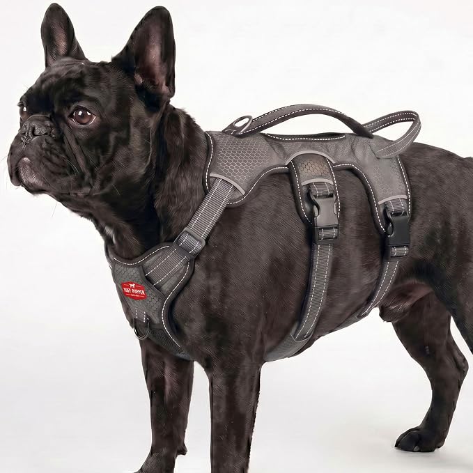 Tuff Pupper Escape Proof No Escape Dog Harness | 5 Point Adjustable Fit Harness for Dogs | Padded Dog Harnesses | Handle Dog Lift Harnesses