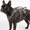 Tuff Pupper Escape Proof No Escape Dog Harness | 5 Point Adjustable Fit Harness for Dogs | Padded Dog Harnesses | Handle Dog Lift Harnesses