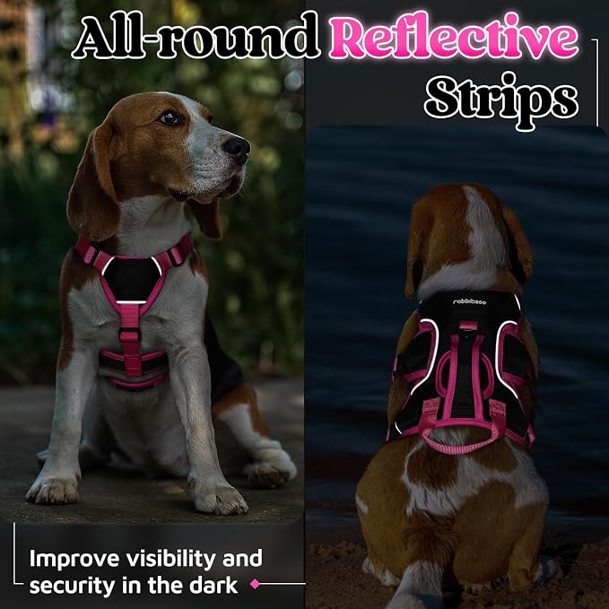 rabbitgoo Escape Proof Dog Harness for Small, No Pull with Lift Handle | No Escape, Full Soft Padded, Reflective Adjustable Vest, Leash Clip for Walking Hiking Training, Rose & Black, Small