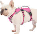 Escape Proof Dog Harness, Dachshund Harness, Reflective Dog Harness with Handle, Durable,Adjustable Vest for Small Medium Large Dogs Walking, Training, and Running Gear (Rose red,M)