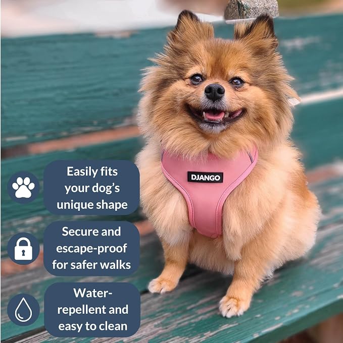 Adventure Dog Harness - Stylish, and Durable Medium Dog Harness for Outdoor Adventures and Everyday Wear - Quartz Pink Neoprene Adjustable Harness for Dogs with Reflective Piping, Brass D-Ring
