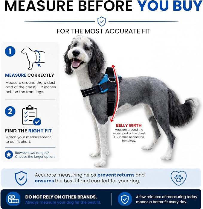 ShawnCo Essential Pro Dog Harness, No-Pull Pet Vest with Removable, Reflective Side Patches, Adjustable and Padded Harness for Small, Medium and Large Dogs (Mustang Red, XS)