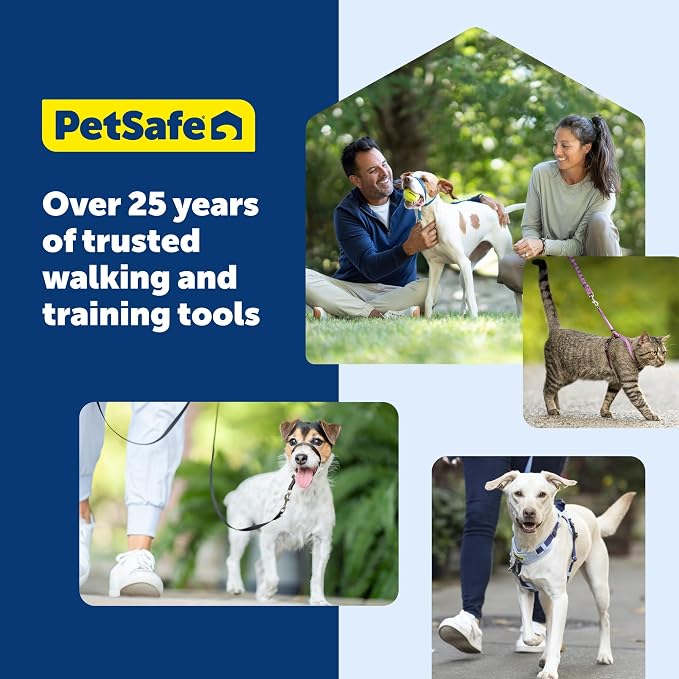 PetSafe Come with Me Kitty Harness and Bungee Cat Leash, Dusty Rose, Medium | Adjustable 2-Point Fit Applies Gentle Pressure to Shoulders, Not Neck, for Small & Average Cats with 10.5 in - 14 in Girth