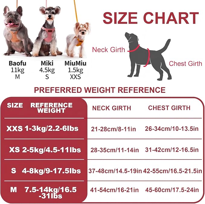 Puppytie Dog Harness and Leash Set, Red Hawthorn, M (16.5-31 lbs) | Harness Small Size Dog, Dog Leash for Small Dogs, Soft Lightweight and Adjustable, Small Dog Harness for Daily Walks
