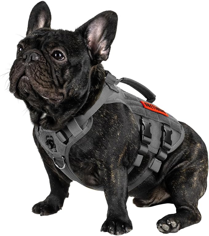 OneTigris Tactical Dog Harness for Small Dogs, No Pull Small Dog Vest Harness with Handles Breathable Military Dogs Molle Vests, Harness for Walking Hiking Training (Grey, XS)