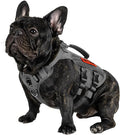 OneTigris Tactical Dog Harness for Small Dogs, No Pull Small Dog Vest Harness with Handles Breathable Military Dogs Molle Vests, Harness for Walking Hiking Training (Grey, XS)
