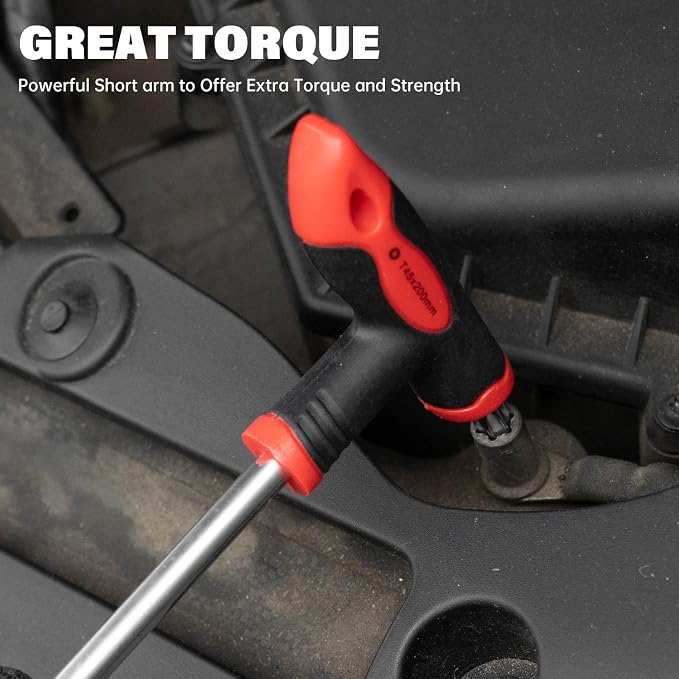ROTATION 16pc Hex and Torx Wrench Set, T Handle Allen Key with Case | For Long Shafts, Storage Rack, Auto, Bike, Moto