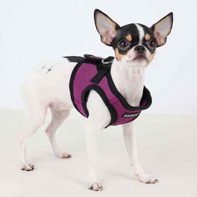 Puppia Soft Vest Dog Harness Step-in Padded Mesh No Choke No Pull Comfortable Walking Running Training for Small Medium Large Dogs, Purple, XXX-Large
