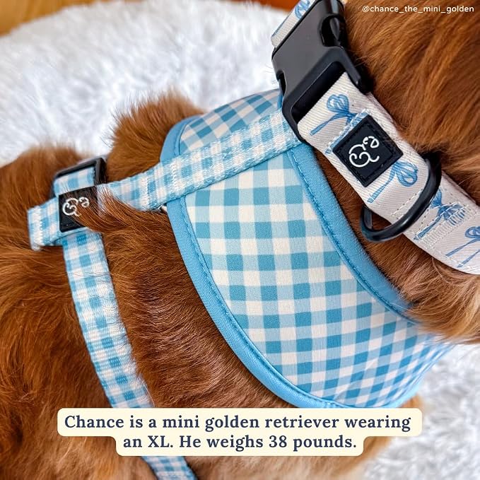Lucy & Co. Reversible Dog Harness - Water-Repellent Neoprene, Dual-Print Design, Easy Swap Style, Adjustable Comfort Fit - Bowwow Wow! Reversible Harness - Medium