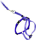 PetSafe Come with Me Kitty Harness and Bungee Cat Leash, Lilac, Small | Adjustable 2-Point Fit Applies Gentle Pressure to Shoulders, Not Neck, for Kittens and Small Cats with 9 in - 11 in Girth