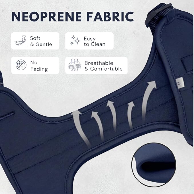 No Pull Dog Harness and Leash Set 3-in-1 Adjustable Anti Pull Dog Harness with Hands-Free Matching Leash,Poop Bag Holder,Easy Walk Dog Harness Extra Small Sized Dog(Navy Blue)