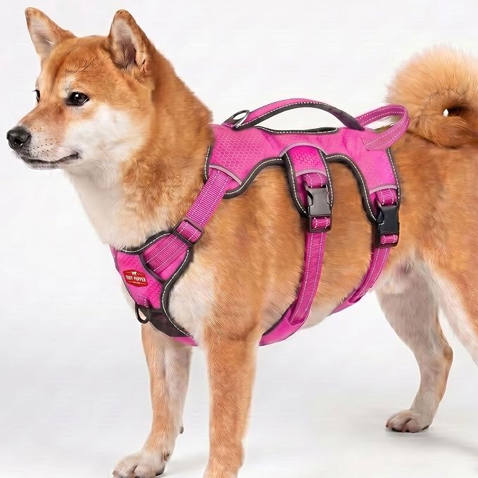 Tuff Pupper Escape Proof No Escape Dog Harness | 5 Point Adjustable Fit Harness for Dogs | Padded Dog Harnesses | Handle Dog Lift Harnesses