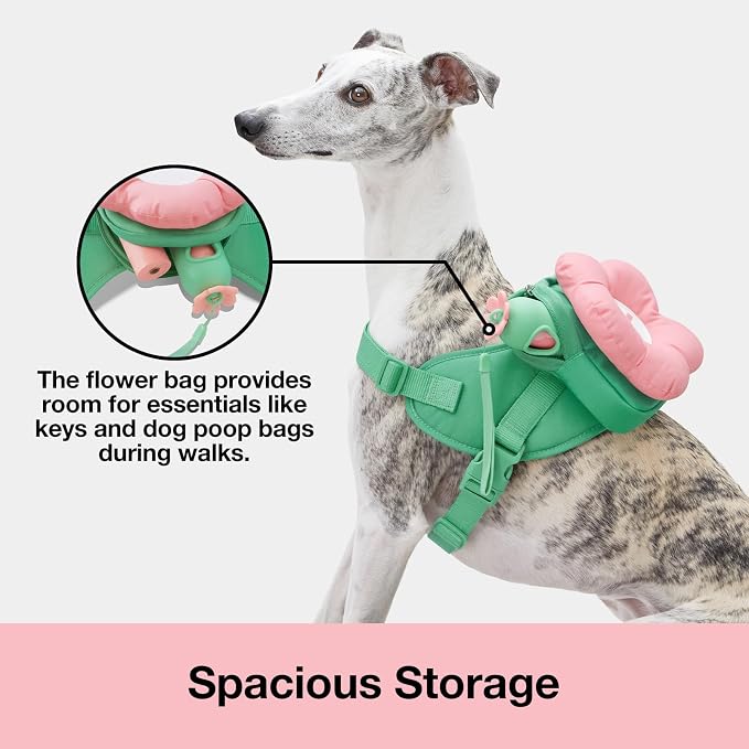 VETRESKA Flora Dog Harness, Leash and Collar Set, No Pull Vest Harness, S | for Walking and Training, Adjustable, Easy Control and Soft Padded Pet Harness and Backpack for Small Medium Large Dogs