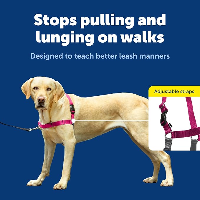 PetSafe Easy Walk Harness, No Pull Dog Harness, Raspberry, Large | Patented Martingale Loop Gives Gradual Shoulder Pressure to Stop Pulling, Front-Chest Leash Clip Prevents Gagging