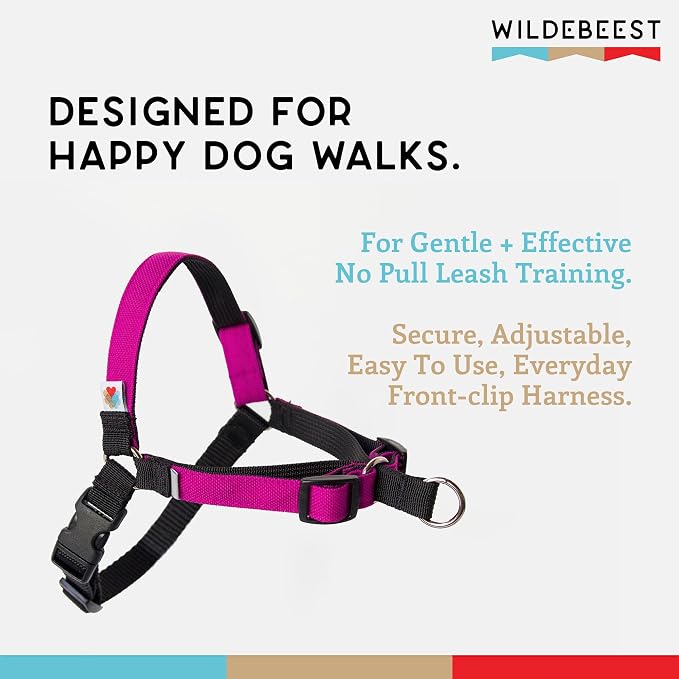 No Pull Dog Harness | Comfortable Training Harnesses | Effective No Pull Harness Design | Ideal for Small Dog and Puppy | 4-Point Adjustable (S - 18~24 inch Girth, Fuchsia)