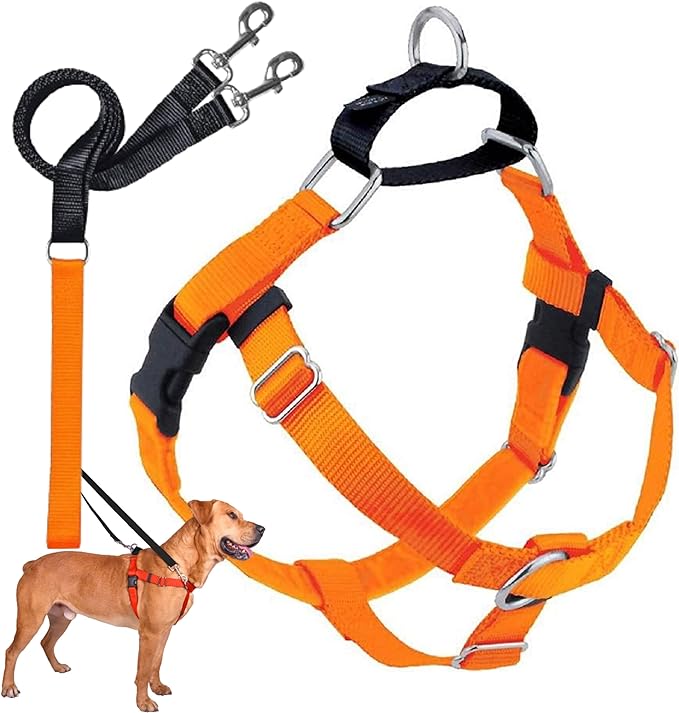 2 Hounds Design Freedom No Pull Dog Harness and Leash, 1" XXL, Neon Orange | Promotes Easy Walking & Comfortable Control, Secure Fit, Adjustable Harness and Leash Set for XXL Sized Dogs, Made in USA