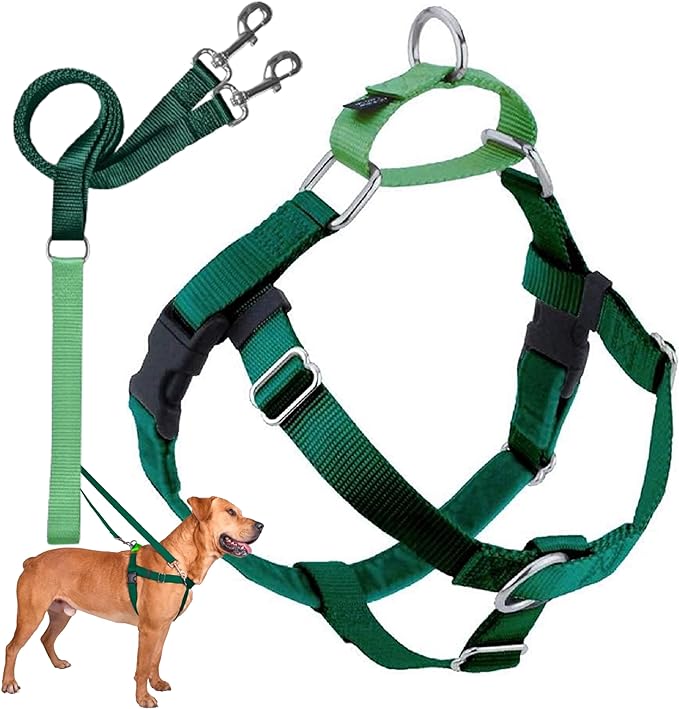 2 Hounds Design Freedom No Pull Dog Harness and Leash, 1" XL, Kelly Green | Promotes Easy Walking & Comfortable Control, Adjustable Harness and Leash Set for Extra Large Sized Dogs, Made in USA